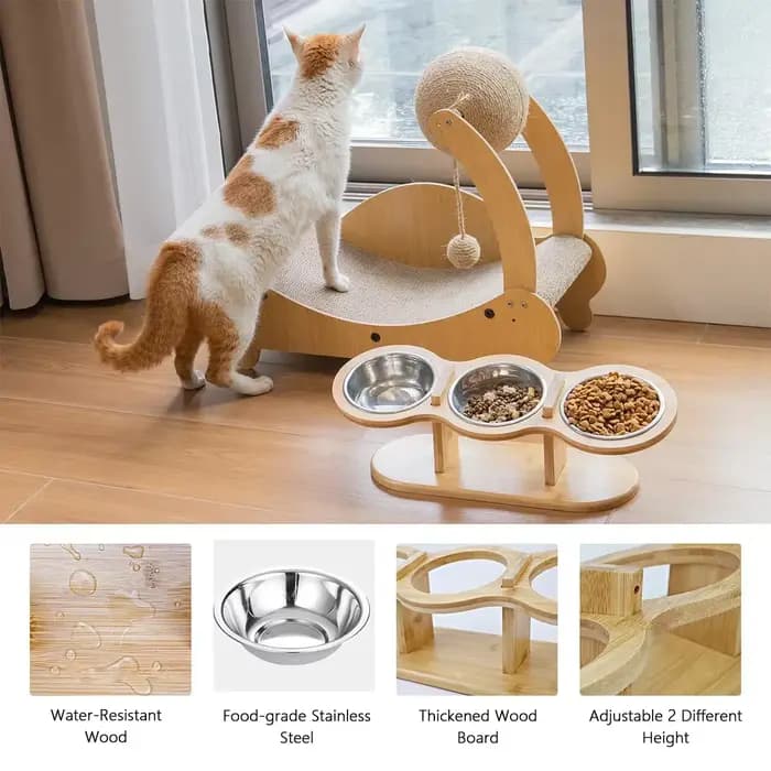 Bols surélevés pour chien et chat