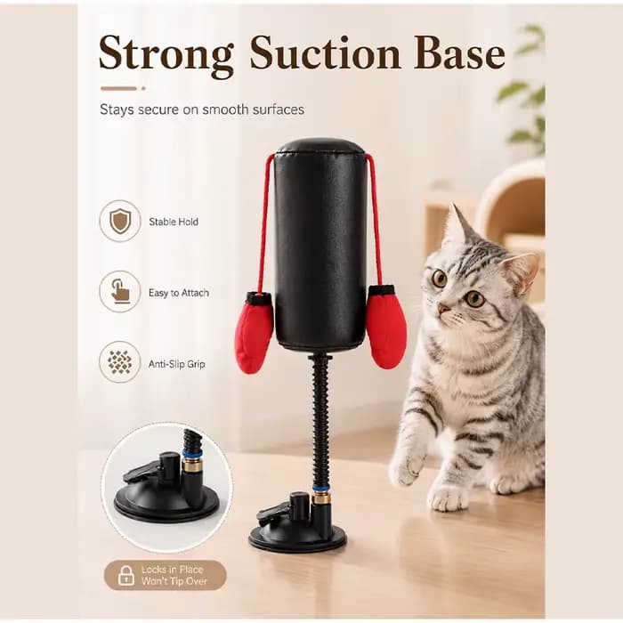 Jouet interactif pour chat : Gants de boxe amusants pour l'entraînement et le divertissement – Soulage l'ennui et aide à la relaxation et à la décompression