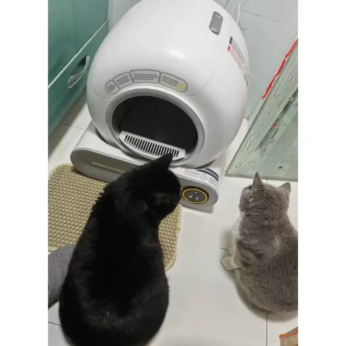 Bac à litière automatique pour chat de 65 l