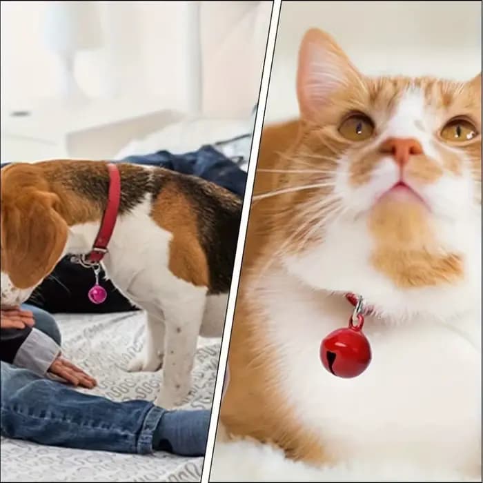 10 clochettes pour collier d'animal
