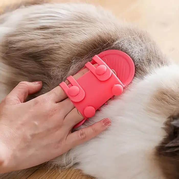 Peigne d'Épilation pour Chat