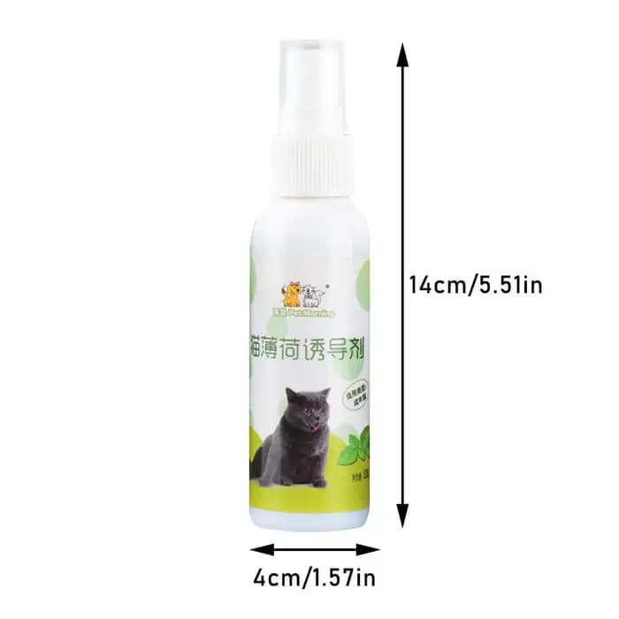 Spray à la catnip pour chat