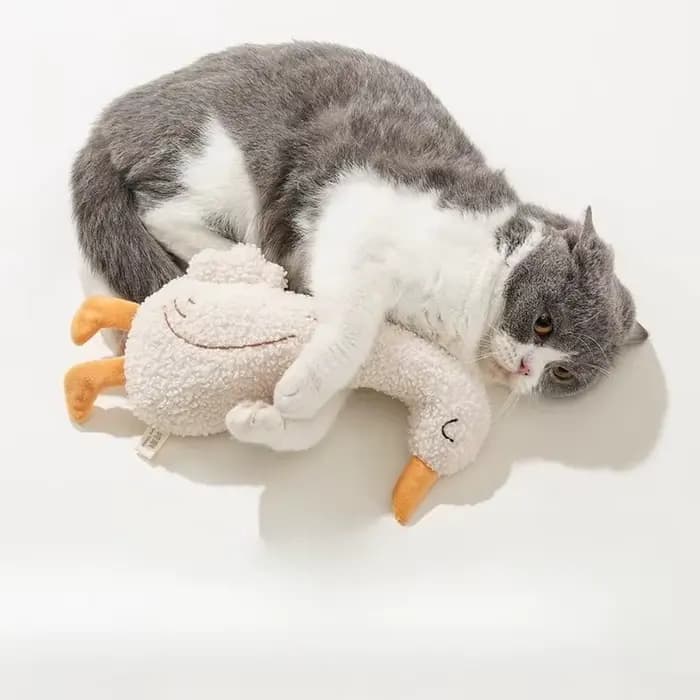 Jouets pour chats et chiens