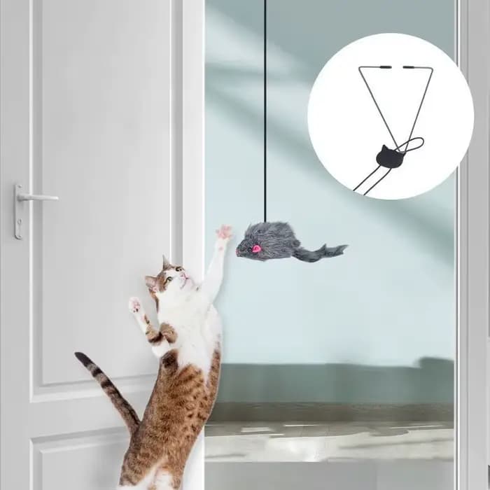 Nouveau Jouet suspendu pour chat