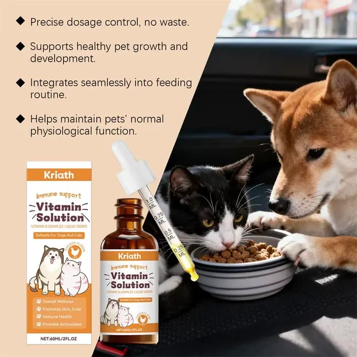 Complexe de vitamines B pour chiens et chats
