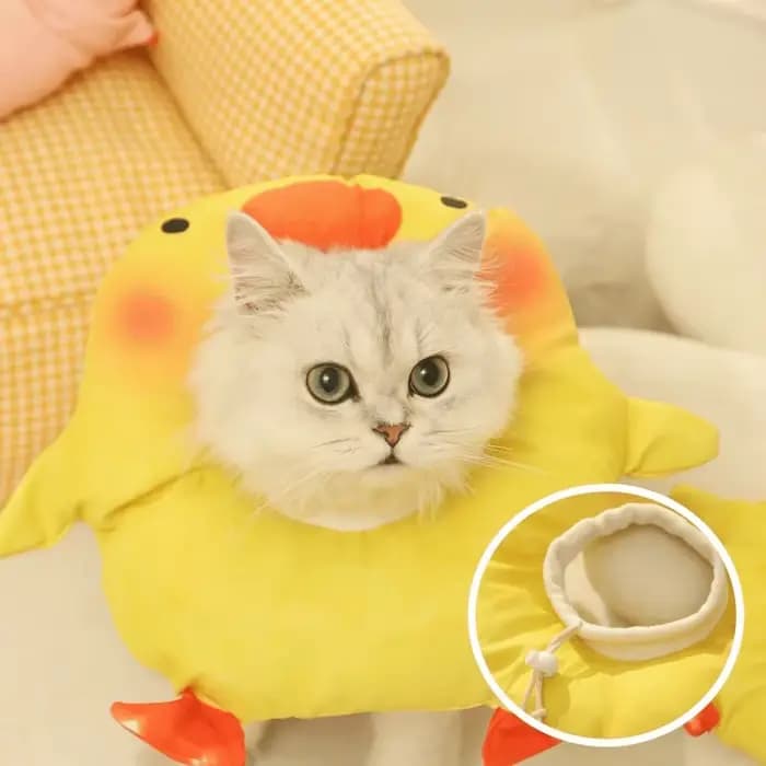 Collier éлизабетанский réglable pour chat