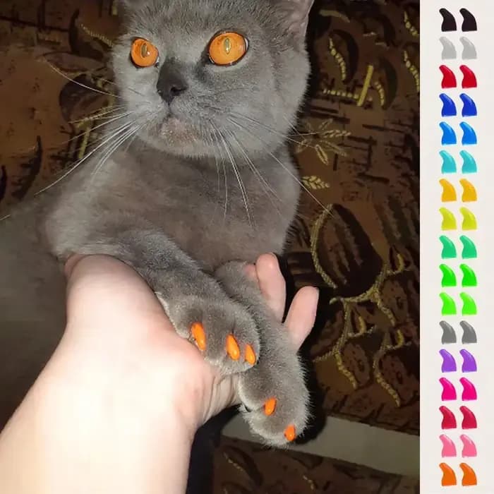 Bouchons d'ongles souples pour chats