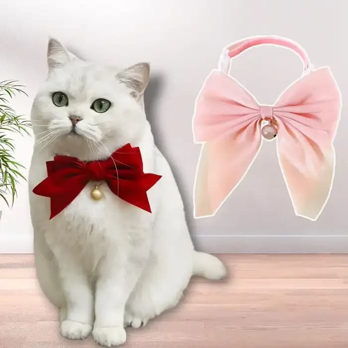 Collier pour animaux de compagnie