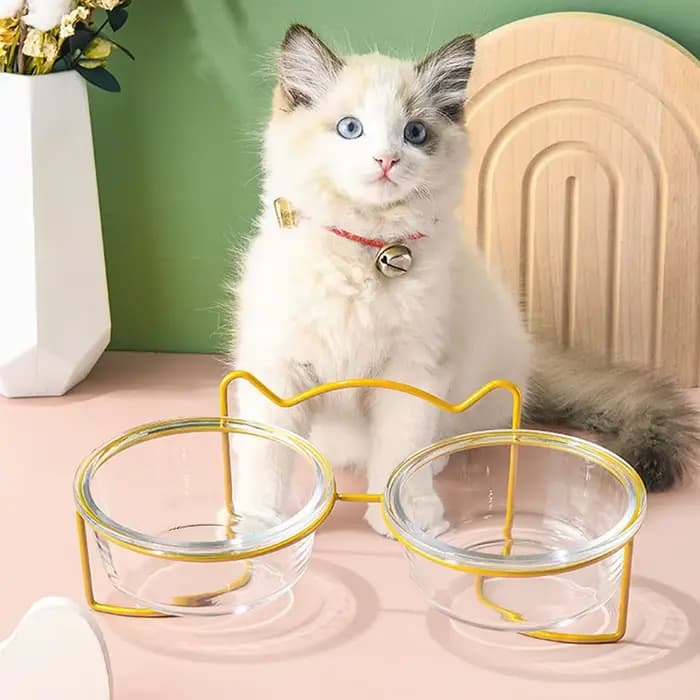 Bol en verre double paroi 400 ml pour chat et chien avec support en fer doré, gamelle pour chiot, accessoires pour animaux de compagnie, chat et chien