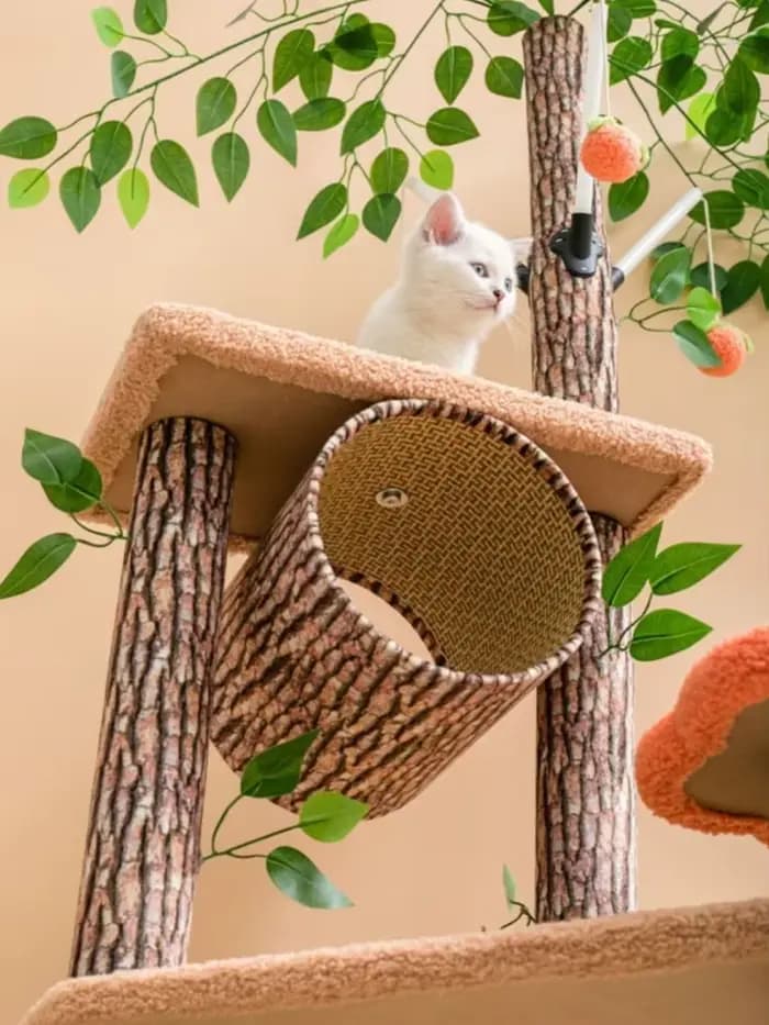 Grand Cadre d'Escalade pour Chat