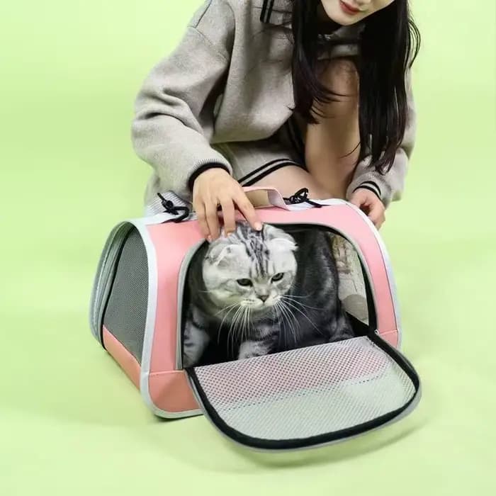 Sac à main Portable pour sortie d'animaux de compagnie