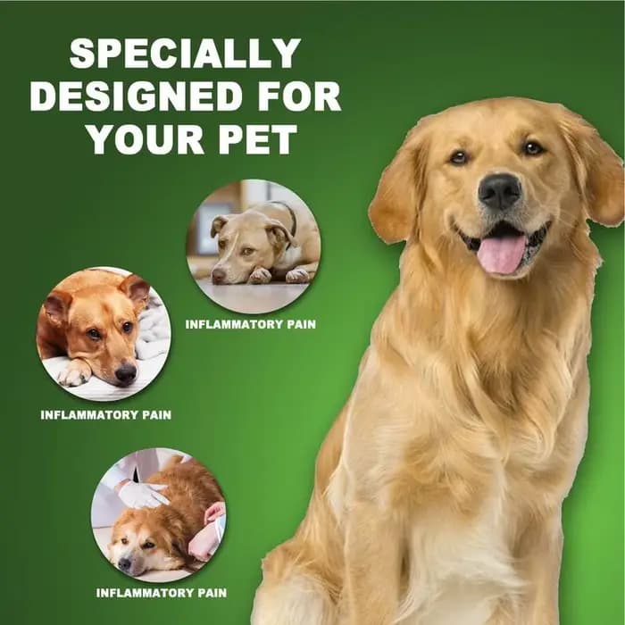Traitements UTI pour animaux de compagnie