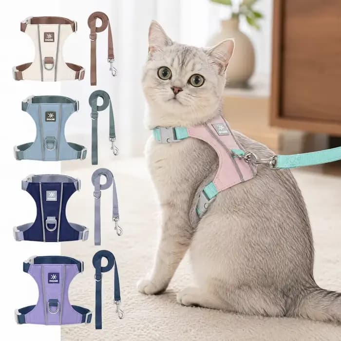 Harnais anti-évasion pour chat