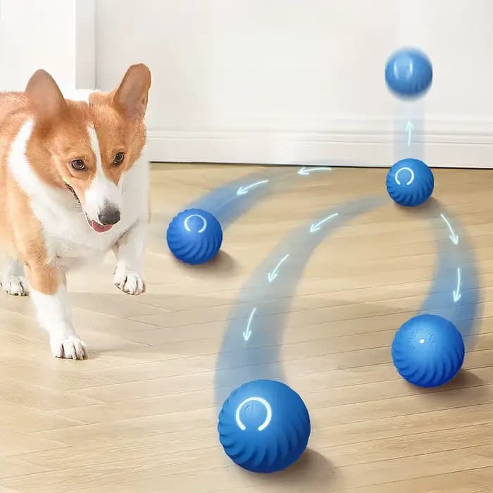 Balle de jeu pour animaux de compagnie
