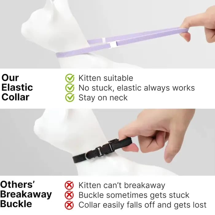 Collier de sécurité pour chat