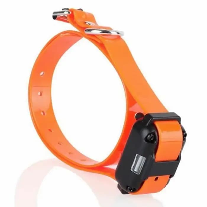 Seulement collier électronique sans automatique