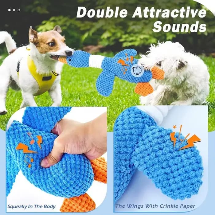 Jouets pour chats et chiens agressifs