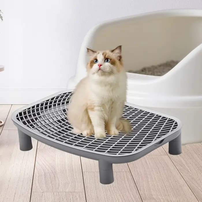 Rampe à litière pour chat