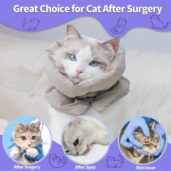 Un col chaud coloré et à la mode pour animaux de compagnie et une écharpe imperméable pour les chats pour empêcher les lécher et le morder après la stérilisation surtension