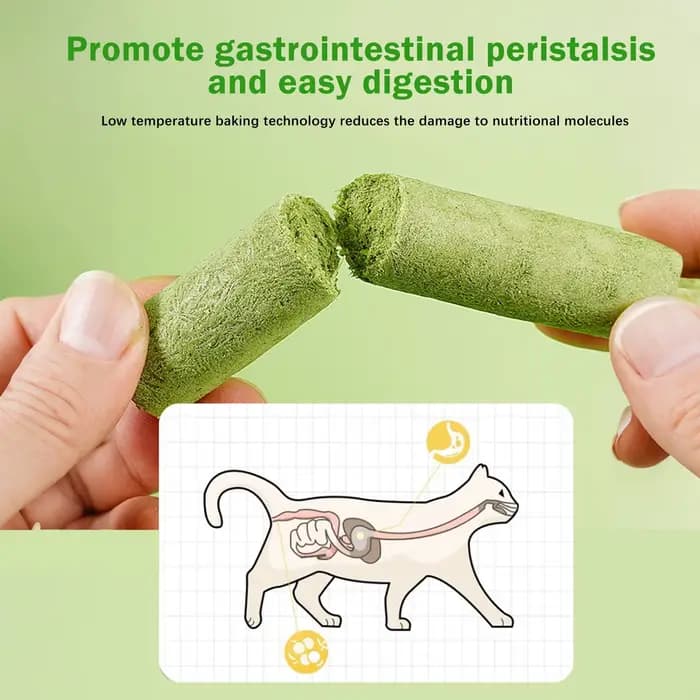 Bâtonnets de herbe pour chat lyophilisés