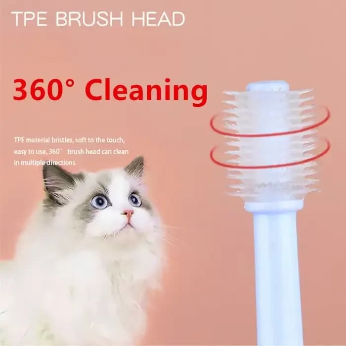 Brosse à dents pour chat