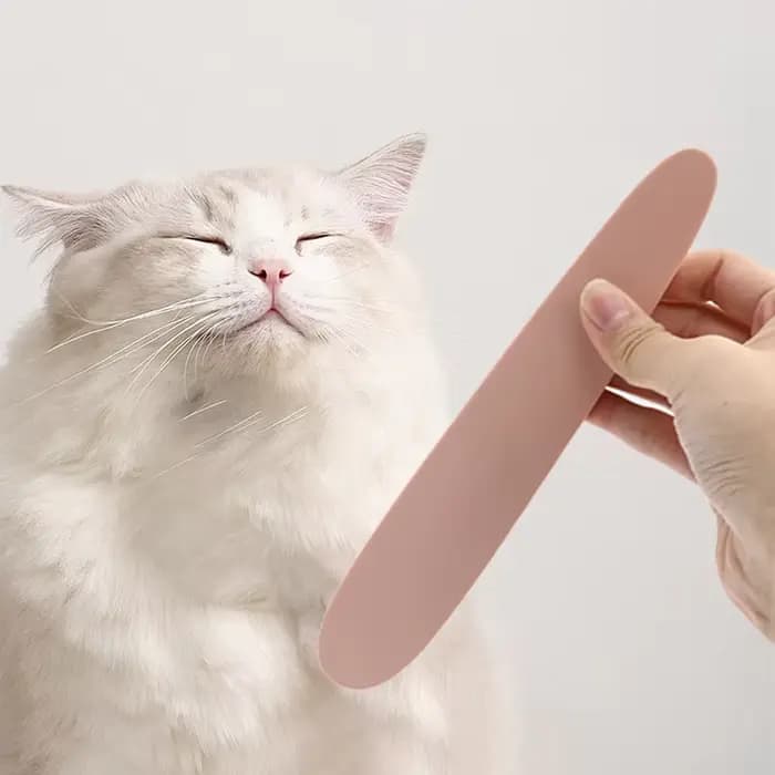 Brosse de toilettage pour chat pour le contrôle de la perte de poils, brosse de massage, peigne pour chat, brosse de retrait des poils, outil pour poils lâches, fournitures de toilettage pour animaux 
