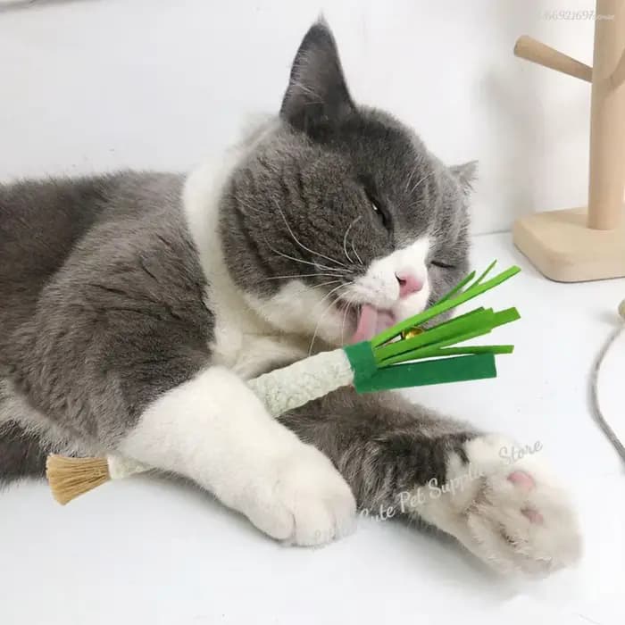Jouet d'entraînement Teaser pour chat