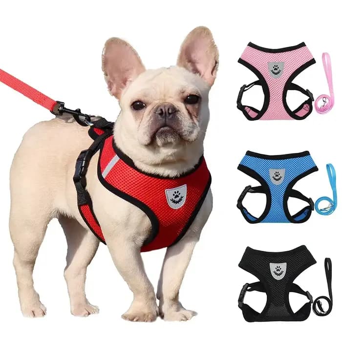 Harnais d'été pour chien et chat