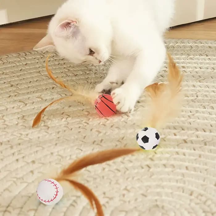Jouets interactifs de balle de plumes de chat