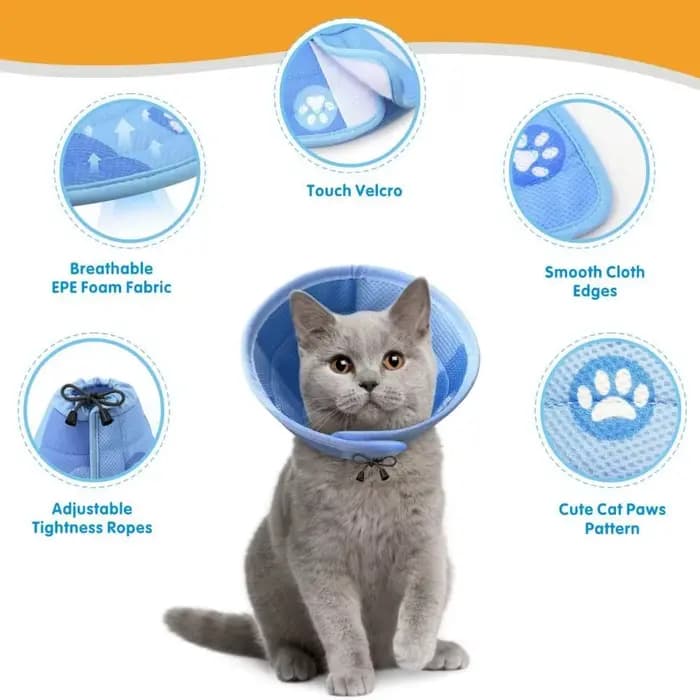 Collier de protection réglable anti-morsure pour chat