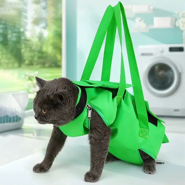 Sac de transport pliable pour chat