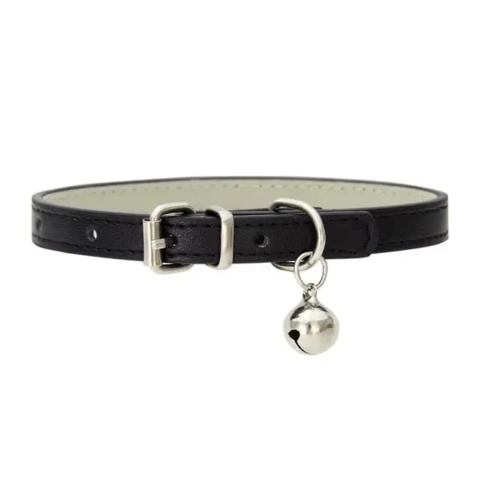 Collier en cuir pour petit chien et chat