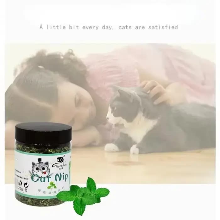 Nouveau jouet interactif pour chat 100% naturel et biologique de haute qualité