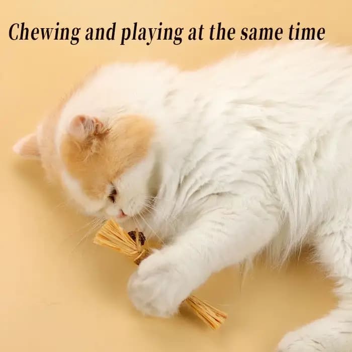 Jouets pour chat Silvervine bâton à mâcher Polygonum Kitty raphia herbe fournitures pour animaux de compagnie nettoyage