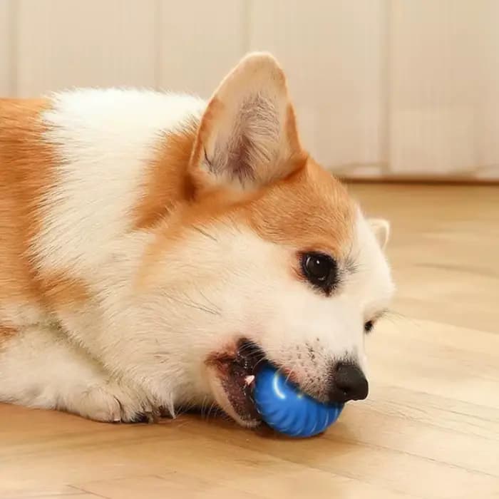 Balle de jouet pour animaux de compagnie