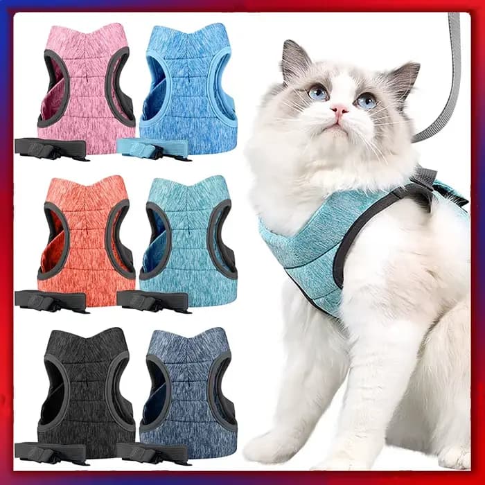 Ceinture Anti-fuite réglable pour petit chat