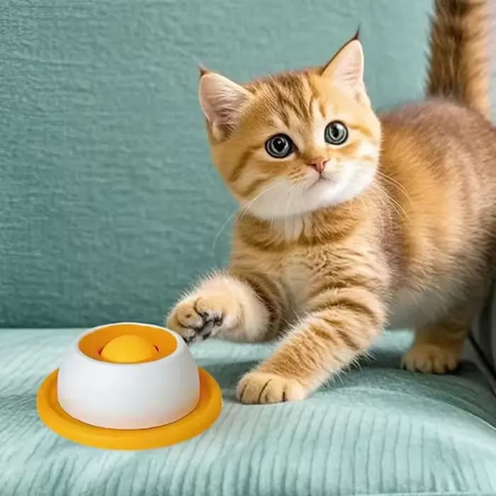 Nouveaux articles pour chiens : Jouets anti-renversement pour animaux de compagnie