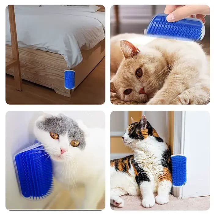 Peigne de Massage à gratter pour chat, brosse à gratter d'angle avec herbe à chat, peigne de démêlage pour animaux de compagnie pour épilation, toilettage