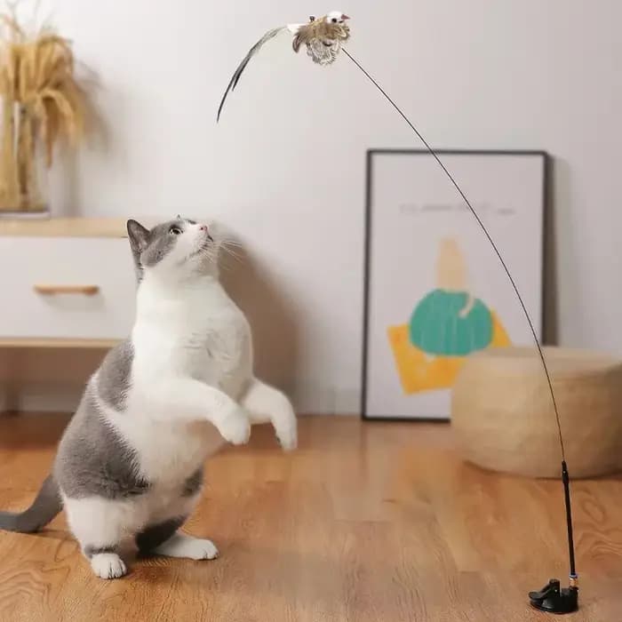 Jouet interactif pour chat en forme d'oiseau