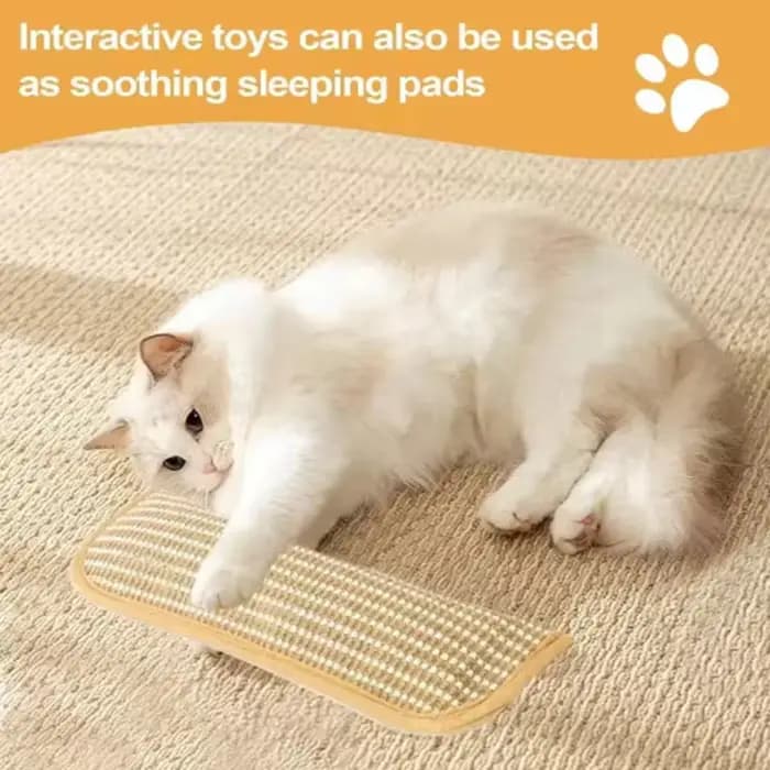 Jouets interactifs à gratter pour chat