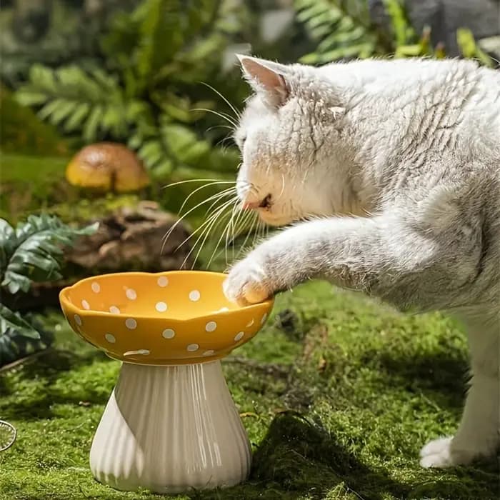 Bol à chat en forme de champignon de 6 pouces