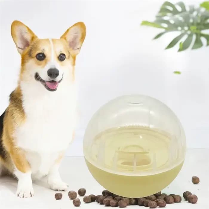 Jouets interactifs pour chiens et chats