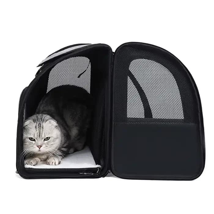 Sacs à dos de transport pour chat