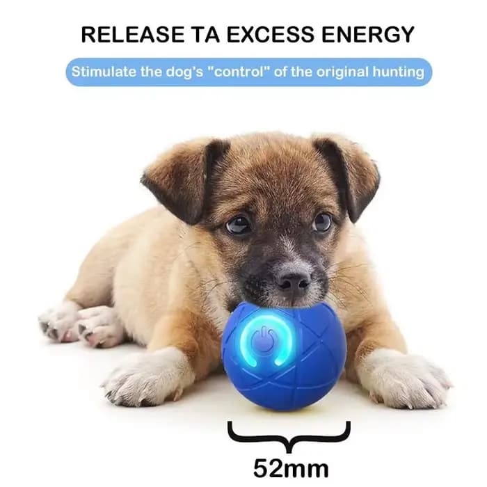 Balle de jouet pour chien