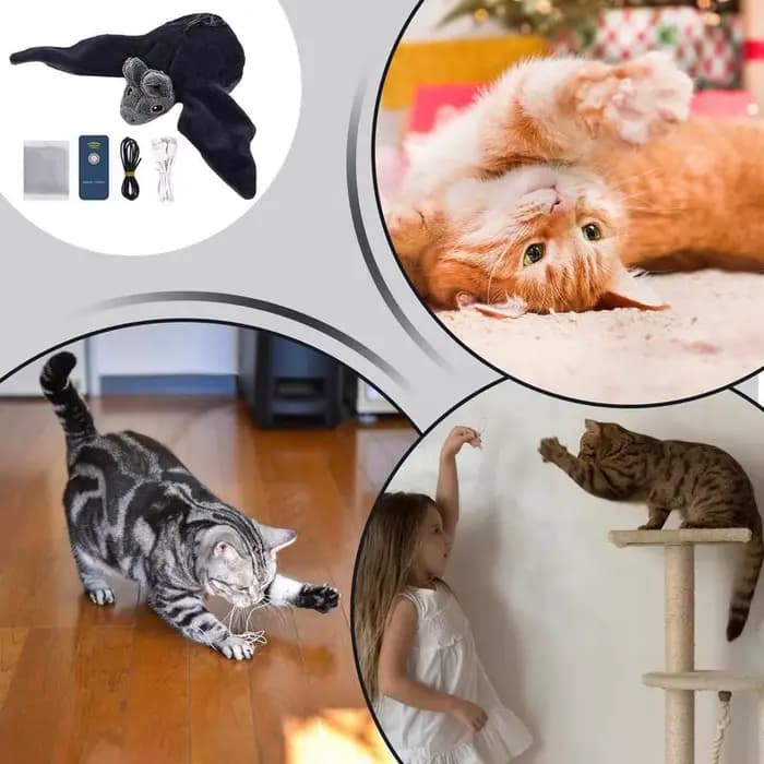 Oiseau volant battant avec herbe-aux-chats