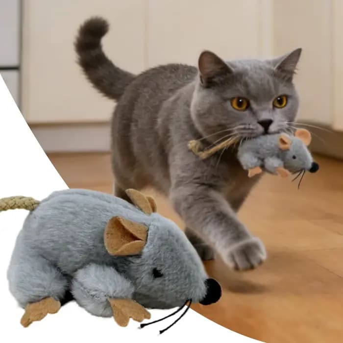 Jouet en peluche pour chat