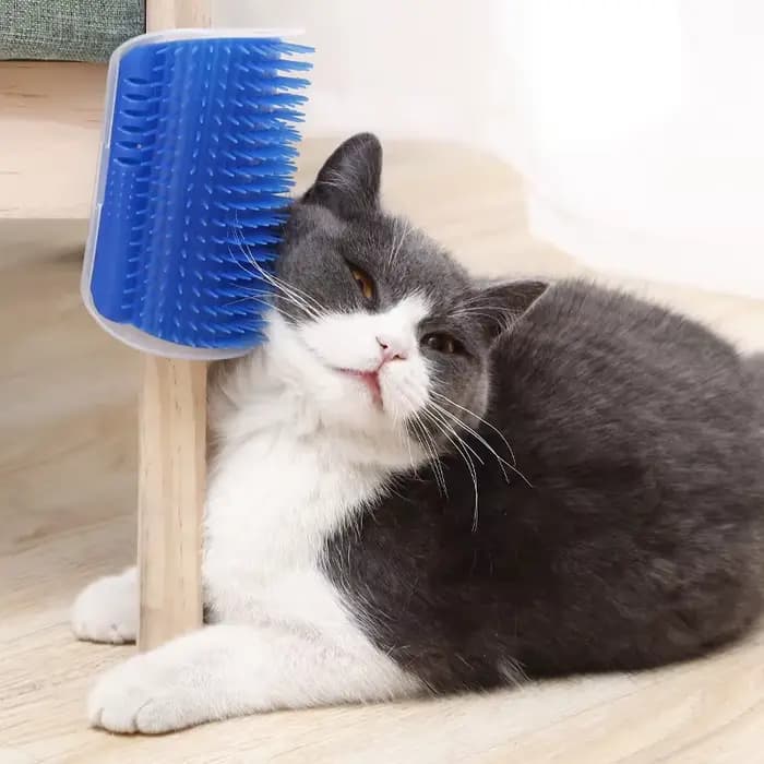 Masseur à gratter pour chats