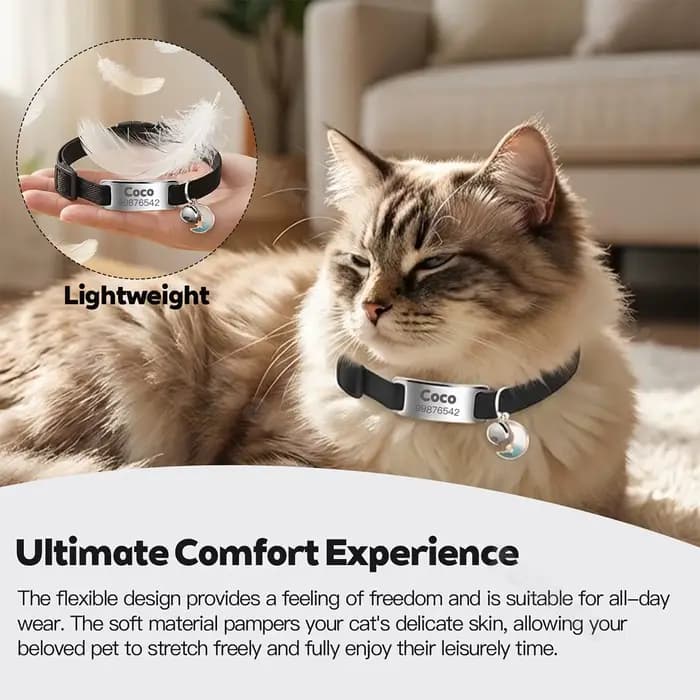 Collier élastique personnalisé pour chat