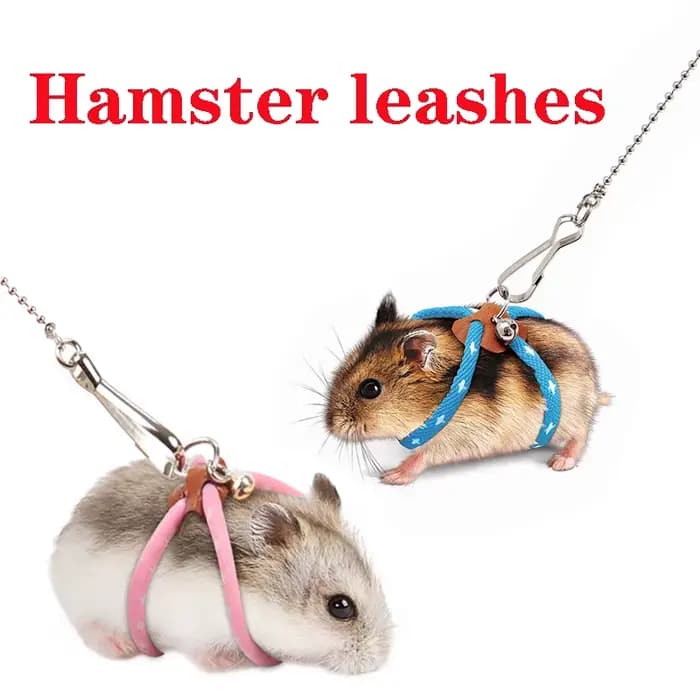 Laisse SFP souple réglable pour petit animal de compagnie