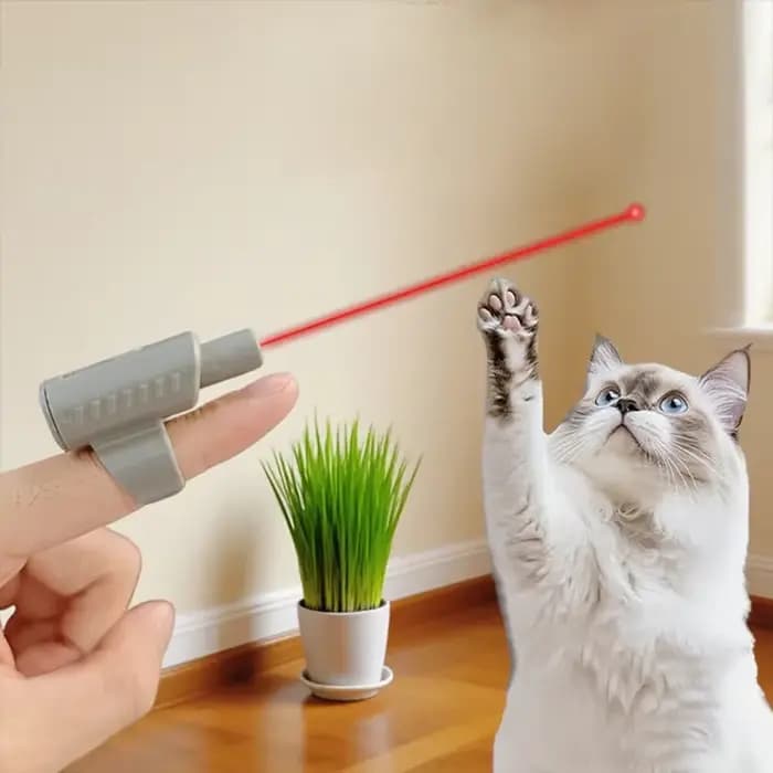 Mini-jouet laser pour chat